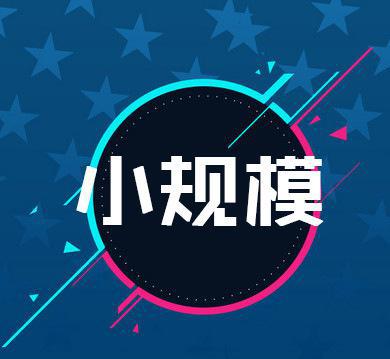小規模納稅人 小規模納稅人